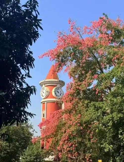 岭南师范学院 校园