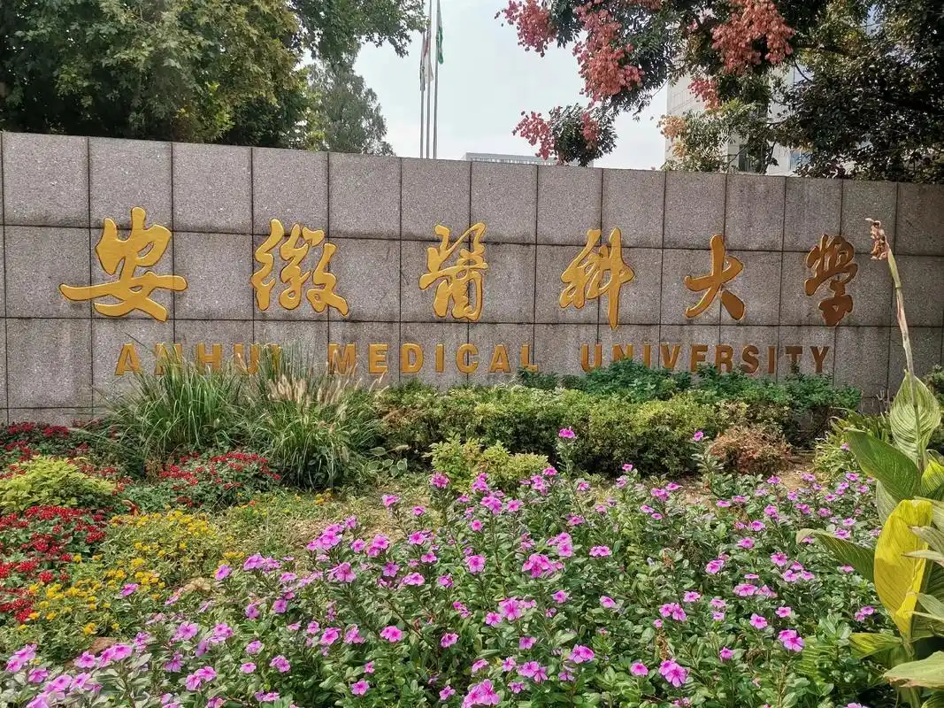 安徽医科大学 校园