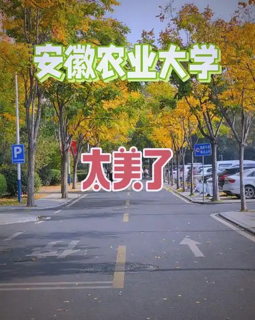 安徽农业大学 校园