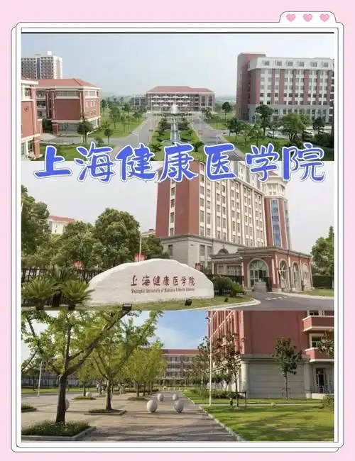 上海健康医学院 校园