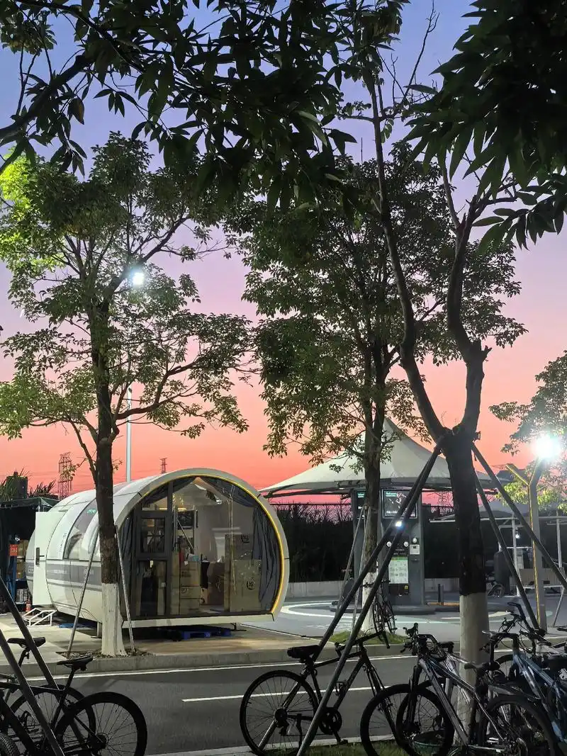 深圳技术大学 校园