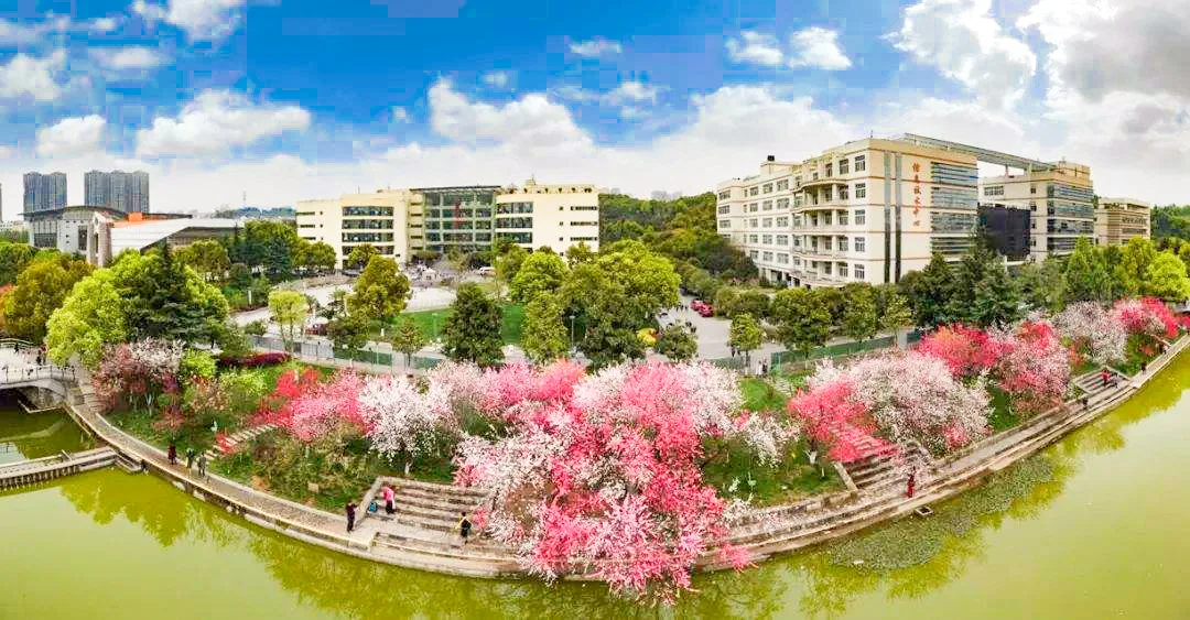 三峡大学 校园