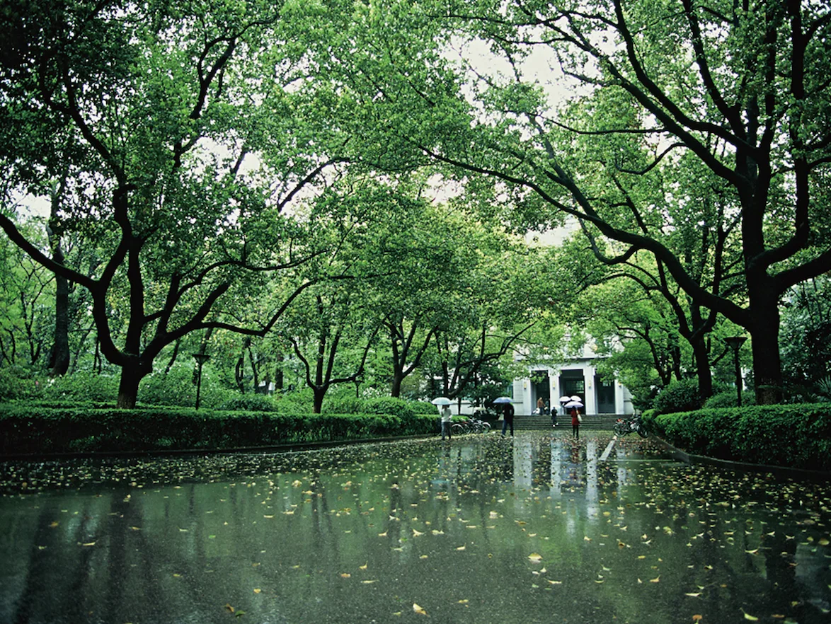 南京大学 校园