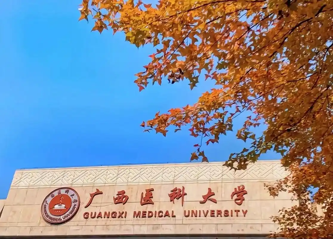 广西医科大学 校园