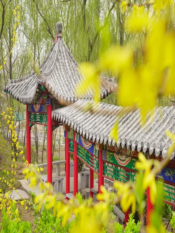 济南大学 校园