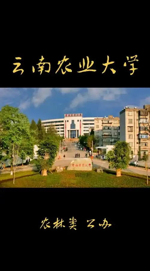 云南农业大学 校园