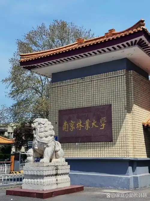 南京林业大学 校园