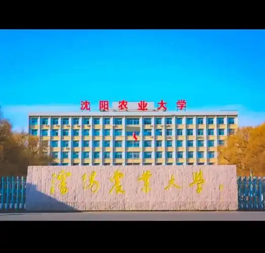 沈阳农业大学 校园