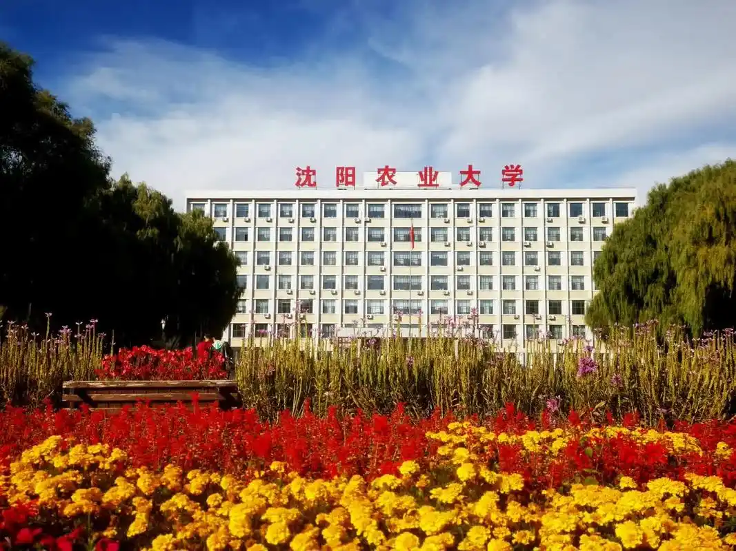 沈阳农业大学 校园