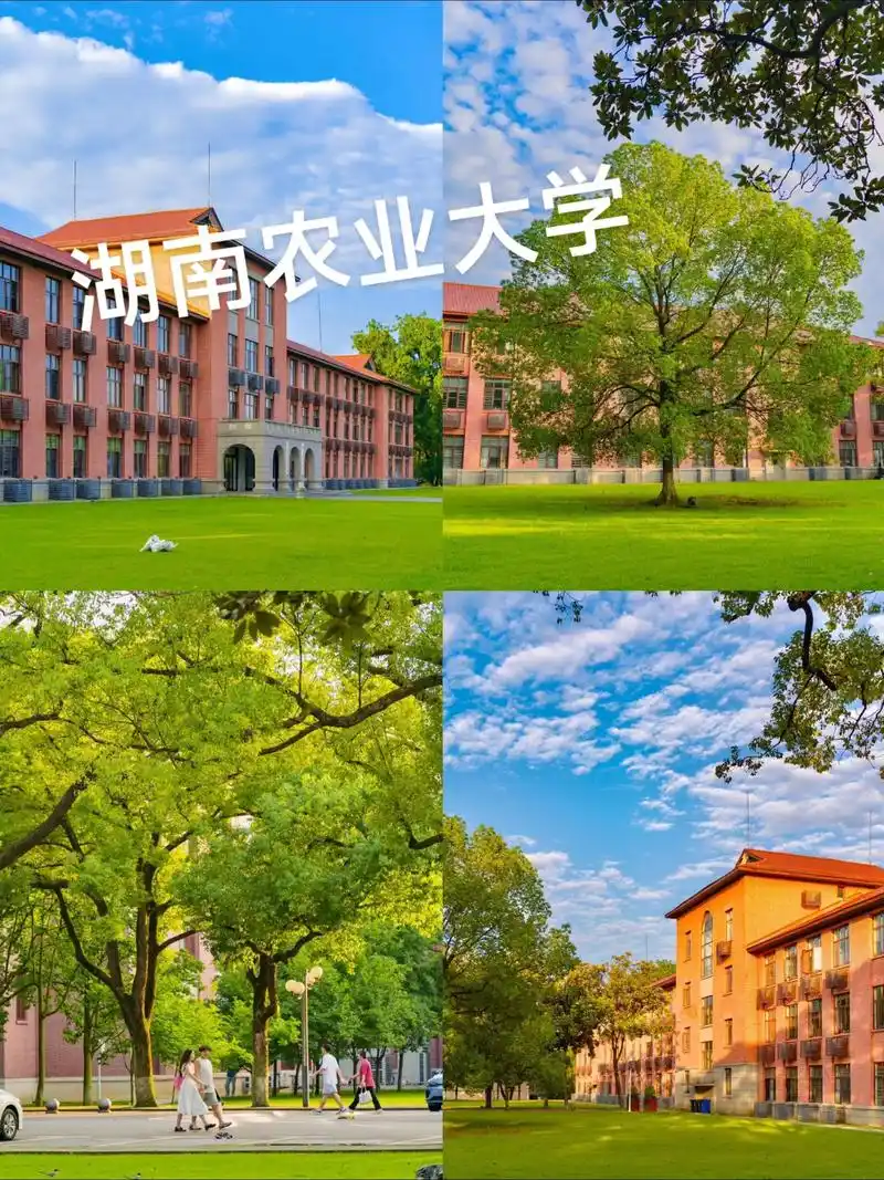 湖南农业大学 校园