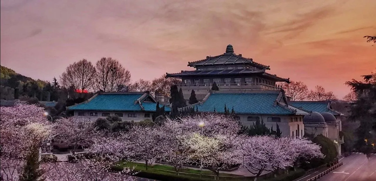 武汉大学 校园