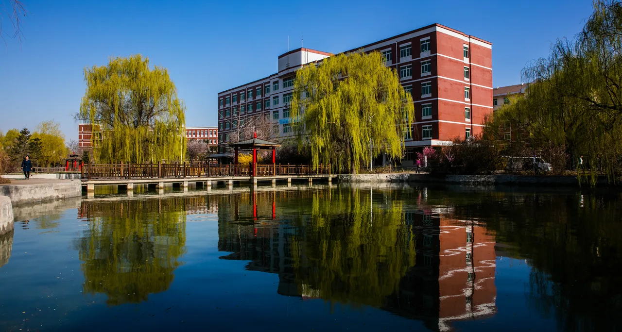 沈阳化工大学