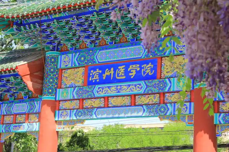滨州医学院