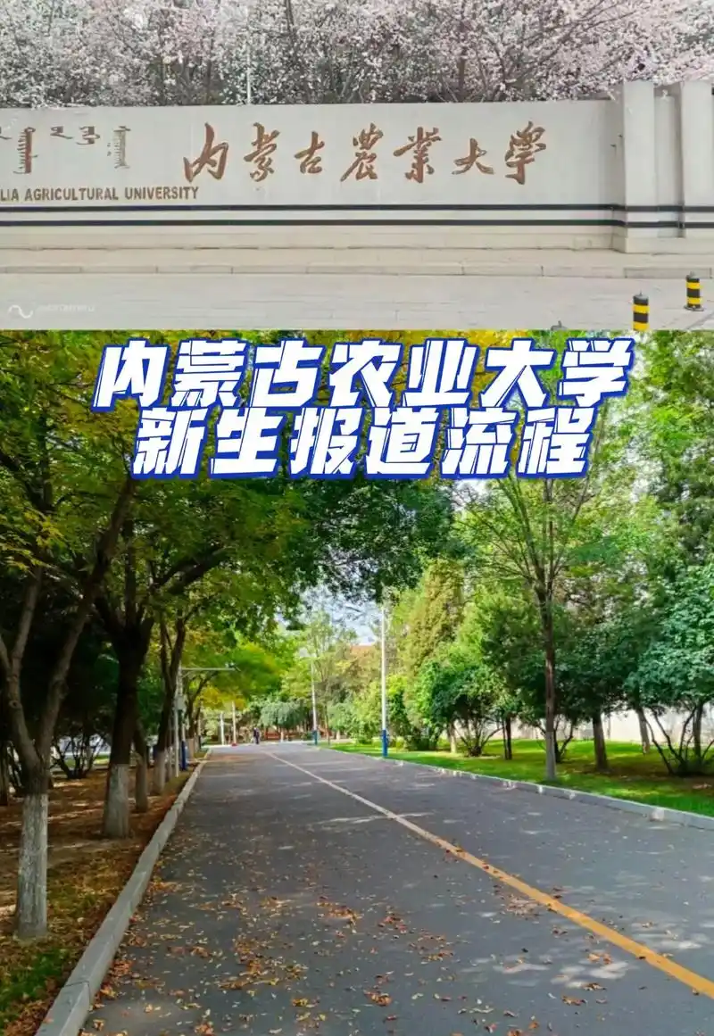 内蒙古农业大学 校园